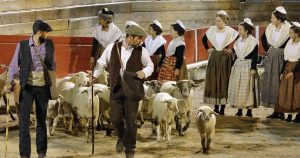 « Spectacle La Camargue des 4 saisons en collaboration avec l’Etoile de l’avenir »