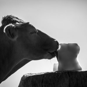 « Genèse d&rsquo;une Œuvre » : Exposition de photographies à « L&rsquo;Arôme »