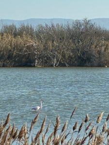  Les Secrets des Marais de Bolmon 